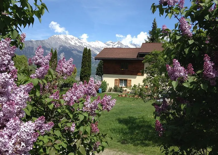 Domaine Bellevie Vex