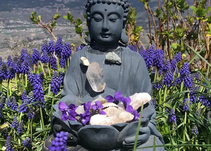 Domaine Bellevie Vex