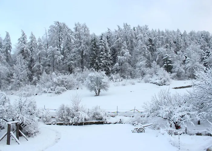 Domaine Bellevie 3* Vex