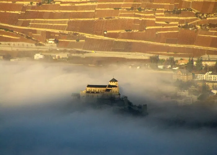 ベッド・アンド・ブレックファスト Domaine Bellevie Vex