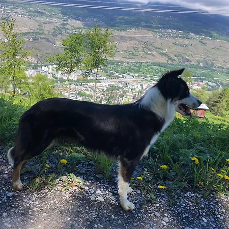 Domaine Bellevie Panzió