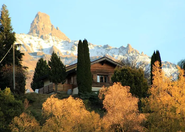 Domaine Bellevie