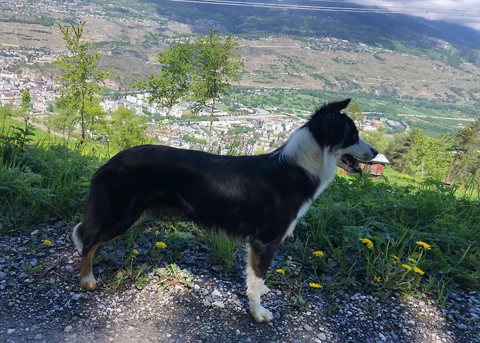 Domaine Bellevie Bed & Breakfast